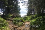 Pure nature for body, mind and soul.
