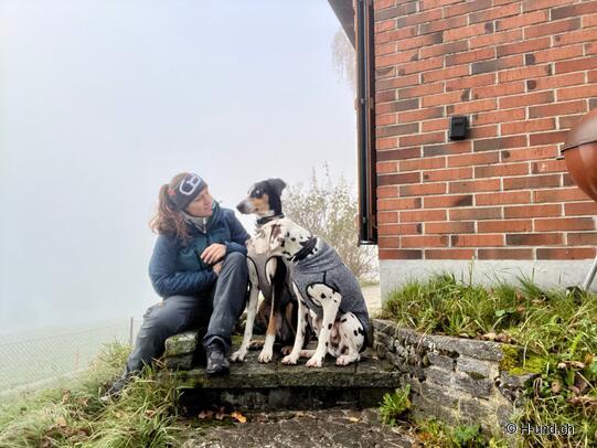 H-und.ch:Die Schweiz mit Hund erleben
