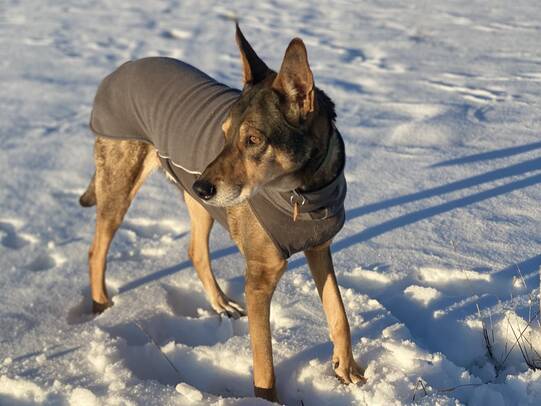 01. Brigitte Kocher mit Nanuk, Les Reussilles (BE)