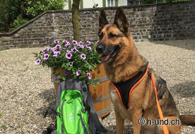 Une pause bien méritée pour Onyx