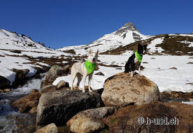 Fotoshooting auf der Alp Astras