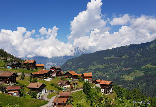 Uf Wald - Felsberg