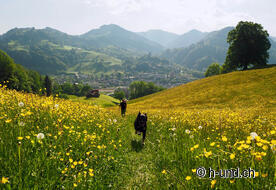 Emma en route pour Wattwil.
