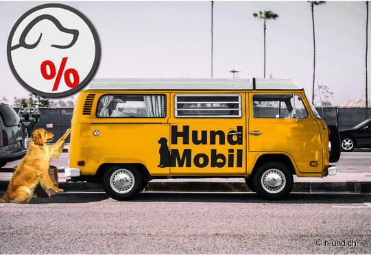 Boutique HundMobil