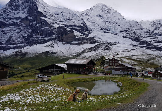 Maennlichen-Alpiglen-Kl.Scheidegg-Wengen